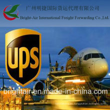 UPS DHL TNT International Courier Express Servicio de entrega Operaciones de logística de China a Inglaterra